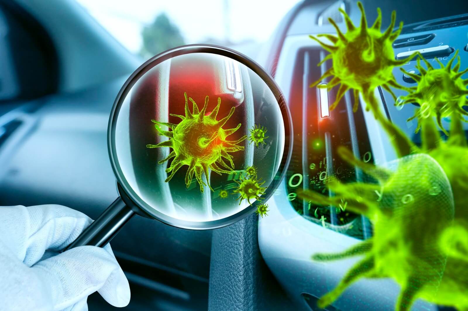 bacterial species